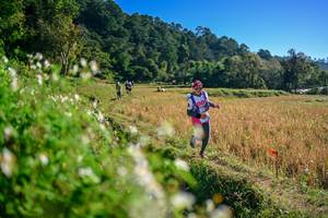 BIB: 
                            <button type="button" onclick="openModal(26571397)" class="btn btn-primary btn-sm float-right btn-popup" data-toggle="modal" data-target=".modal-high-quality">
                        <i class="fas fa-shopping-cart"></i> Add to Cart
                    </button>
                                            <button type="button" onclick="isThisMe(26571397, true)" class="btn btn-success btn-sm float-right btn-popup btn-isme hidden" data-toggle="tooltip" data-placement="bottom" title="นี่คือรูปของคุณใช่ไหม คลิกที่นี่เพื่อเอาเข้าอัลบั้ม">
                        <i class="fas fa-plus"></i> Add to album
                    </button>
                    <button type="button" onclick="isThisMe(26571397, false)" class="btn btn-warning btn-sm float-right btn-popup btn-isnotme hidden">
                        <i class="fas fa-ban"></i> Remove from album
                    </button>