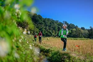 BIB: 
                            <button type="button" onclick="openModal(26581107)" class="btn btn-primary btn-sm float-right btn-popup" data-toggle="modal" data-target=".modal-high-quality">
                        <i class="fas fa-shopping-cart"></i> Add to Cart
                    </button>
                                            <button type="button" onclick="isThisMe(26581107, true)" class="btn btn-success btn-sm float-right btn-popup btn-isme hidden" data-toggle="tooltip" data-placement="bottom" title="นี่คือรูปของคุณใช่ไหม คลิกที่นี่เพื่อเอาเข้าอัลบั้ม">
                        <i class="fas fa-plus"></i> Add to album
                    </button>
                    <button type="button" onclick="isThisMe(26581107, false)" class="btn btn-warning btn-sm float-right btn-popup btn-isnotme hidden">
                        <i class="fas fa-ban"></i> Remove from album
                    </button>