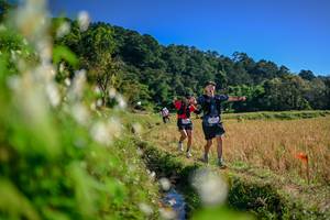 BIB: 
                            <button type="button" onclick="openModal(26573527)" class="btn btn-primary btn-sm float-right btn-popup" data-toggle="modal" data-target=".modal-high-quality">
                        <i class="fas fa-shopping-cart"></i> Add to Cart
                    </button>
                                            <button type="button" onclick="isThisMe(26573527, true)" class="btn btn-success btn-sm float-right btn-popup btn-isme hidden" data-toggle="tooltip" data-placement="bottom" title="นี่คือรูปของคุณใช่ไหม คลิกที่นี่เพื่อเอาเข้าอัลบั้ม">
                        <i class="fas fa-plus"></i> Add to album
                    </button>
                    <button type="button" onclick="isThisMe(26573527, false)" class="btn btn-warning btn-sm float-right btn-popup btn-isnotme hidden">
                        <i class="fas fa-ban"></i> Remove from album
                    </button>