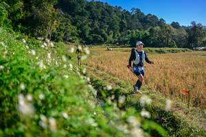 BIB: 
                            <button type="button" onclick="openModal(26571317)" class="btn btn-primary btn-sm float-right btn-popup" data-toggle="modal" data-target=".modal-high-quality">
                        <i class="fas fa-shopping-cart"></i> Add to Cart
                    </button>
                                            <button type="button" onclick="isThisMe(26571317, true)" class="btn btn-success btn-sm float-right btn-popup btn-isme hidden" data-toggle="tooltip" data-placement="bottom" title="นี่คือรูปของคุณใช่ไหม คลิกที่นี่เพื่อเอาเข้าอัลบั้ม">
                        <i class="fas fa-plus"></i> Add to album
                    </button>
                    <button type="button" onclick="isThisMe(26571317, false)" class="btn btn-warning btn-sm float-right btn-popup btn-isnotme hidden">
                        <i class="fas fa-ban"></i> Remove from album
                    </button>