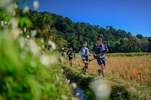 BIB: 
                            <button type="button" onclick="openModal(26573818)" class="btn btn-primary btn-sm float-right btn-popup" data-toggle="modal" data-target=".modal-high-quality">
                        <i class="fas fa-shopping-cart"></i> Add to Cart
                    </button>
                                            <button type="button" onclick="isThisMe(26573818, true)" class="btn btn-success btn-sm float-right btn-popup btn-isme hidden" data-toggle="tooltip" data-placement="bottom" title="นี่คือรูปของคุณใช่ไหม คลิกที่นี่เพื่อเอาเข้าอัลบั้ม">
                        <i class="fas fa-plus"></i> Add to album
                    </button>
                    <button type="button" onclick="isThisMe(26573818, false)" class="btn btn-warning btn-sm float-right btn-popup btn-isnotme hidden">
                        <i class="fas fa-ban"></i> Remove from album
                    </button>