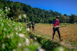 BIB: 
                            <button type="button" onclick="openModal(26582355)" class="btn btn-primary btn-sm float-right btn-popup" data-toggle="modal" data-target=".modal-high-quality">
                        <i class="fas fa-shopping-cart"></i> Add to Cart
                    </button>
                                            <button type="button" onclick="isThisMe(26582355, true)" class="btn btn-success btn-sm float-right btn-popup btn-isme hidden" data-toggle="tooltip" data-placement="bottom" title="นี่คือรูปของคุณใช่ไหม คลิกที่นี่เพื่อเอาเข้าอัลบั้ม">
                        <i class="fas fa-plus"></i> Add to album
                    </button>
                    <button type="button" onclick="isThisMe(26582355, false)" class="btn btn-warning btn-sm float-right btn-popup btn-isnotme hidden">
                        <i class="fas fa-ban"></i> Remove from album
                    </button>