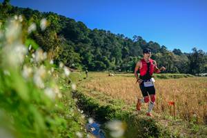 BIB: 
                            <button type="button" onclick="openModal(26571723)" class="btn btn-primary btn-sm float-right btn-popup" data-toggle="modal" data-target=".modal-high-quality">
                        <i class="fas fa-shopping-cart"></i> Add to Cart
                    </button>
                                            <button type="button" onclick="isThisMe(26571723, true)" class="btn btn-success btn-sm float-right btn-popup btn-isme hidden" data-toggle="tooltip" data-placement="bottom" title="นี่คือรูปของคุณใช่ไหม คลิกที่นี่เพื่อเอาเข้าอัลบั้ม">
                        <i class="fas fa-plus"></i> Add to album
                    </button>
                    <button type="button" onclick="isThisMe(26571723, false)" class="btn btn-warning btn-sm float-right btn-popup btn-isnotme hidden">
                        <i class="fas fa-ban"></i> Remove from album
                    </button>