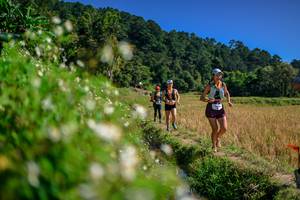 BIB: 
                            <button type="button" onclick="openModal(26583087)" class="btn btn-primary btn-sm float-right btn-popup" data-toggle="modal" data-target=".modal-high-quality">
                        <i class="fas fa-shopping-cart"></i> Add to Cart
                    </button>
                                            <button type="button" onclick="isThisMe(26583087, true)" class="btn btn-success btn-sm float-right btn-popup btn-isme hidden" data-toggle="tooltip" data-placement="bottom" title="นี่คือรูปของคุณใช่ไหม คลิกที่นี่เพื่อเอาเข้าอัลบั้ม">
                        <i class="fas fa-plus"></i> Add to album
                    </button>
                    <button type="button" onclick="isThisMe(26583087, false)" class="btn btn-warning btn-sm float-right btn-popup btn-isnotme hidden">
                        <i class="fas fa-ban"></i> Remove from album
                    </button>