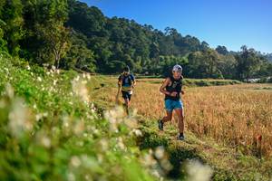 BIB: 
                            <button type="button" onclick="openModal(26570368)" class="btn btn-primary btn-sm float-right btn-popup" data-toggle="modal" data-target=".modal-high-quality">
                        <i class="fas fa-shopping-cart"></i> Add to Cart
                    </button>
                                            <button type="button" onclick="isThisMe(26570368, true)" class="btn btn-success btn-sm float-right btn-popup btn-isme hidden" data-toggle="tooltip" data-placement="bottom" title="นี่คือรูปของคุณใช่ไหม คลิกที่นี่เพื่อเอาเข้าอัลบั้ม">
                        <i class="fas fa-plus"></i> Add to album
                    </button>
                    <button type="button" onclick="isThisMe(26570368, false)" class="btn btn-warning btn-sm float-right btn-popup btn-isnotme hidden">
                        <i class="fas fa-ban"></i> Remove from album
                    </button>