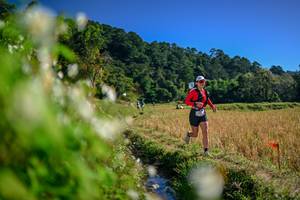 BIB: 
                            <button type="button" onclick="openModal(26573688)" class="btn btn-primary btn-sm float-right btn-popup" data-toggle="modal" data-target=".modal-high-quality">
                        <i class="fas fa-shopping-cart"></i> Add to Cart
                    </button>
                                            <button type="button" onclick="isThisMe(26573688, true)" class="btn btn-success btn-sm float-right btn-popup btn-isme hidden" data-toggle="tooltip" data-placement="bottom" title="นี่คือรูปของคุณใช่ไหม คลิกที่นี่เพื่อเอาเข้าอัลบั้ม">
                        <i class="fas fa-plus"></i> Add to album
                    </button>
                    <button type="button" onclick="isThisMe(26573688, false)" class="btn btn-warning btn-sm float-right btn-popup btn-isnotme hidden">
                        <i class="fas fa-ban"></i> Remove from album
                    </button>