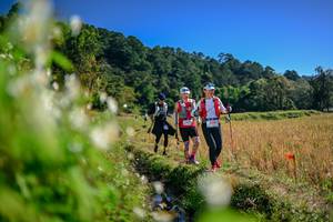 BIB: 
                            <button type="button" onclick="openModal(26573550)" class="btn btn-primary btn-sm float-right btn-popup" data-toggle="modal" data-target=".modal-high-quality">
                        <i class="fas fa-shopping-cart"></i> Add to Cart
                    </button>
                                            <button type="button" onclick="isThisMe(26573550, true)" class="btn btn-success btn-sm float-right btn-popup btn-isme hidden" data-toggle="tooltip" data-placement="bottom" title="นี่คือรูปของคุณใช่ไหม คลิกที่นี่เพื่อเอาเข้าอัลบั้ม">
                        <i class="fas fa-plus"></i> Add to album
                    </button>
                    <button type="button" onclick="isThisMe(26573550, false)" class="btn btn-warning btn-sm float-right btn-popup btn-isnotme hidden">
                        <i class="fas fa-ban"></i> Remove from album
                    </button>