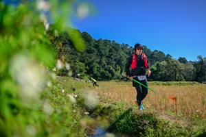 BIB: 
                            <button type="button" onclick="openModal(26581133)" class="btn btn-primary btn-sm float-right btn-popup" data-toggle="modal" data-target=".modal-high-quality">
                        <i class="fas fa-shopping-cart"></i> Add to Cart
                    </button>
                                            <button type="button" onclick="isThisMe(26581133, true)" class="btn btn-success btn-sm float-right btn-popup btn-isme hidden" data-toggle="tooltip" data-placement="bottom" title="นี่คือรูปของคุณใช่ไหม คลิกที่นี่เพื่อเอาเข้าอัลบั้ม">
                        <i class="fas fa-plus"></i> Add to album
                    </button>
                    <button type="button" onclick="isThisMe(26581133, false)" class="btn btn-warning btn-sm float-right btn-popup btn-isnotme hidden">
                        <i class="fas fa-ban"></i> Remove from album
                    </button>