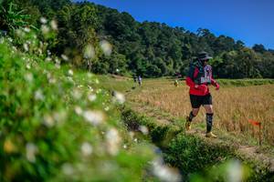 BIB: 
                            <button type="button" onclick="openModal(26582511)" class="btn btn-primary btn-sm float-right btn-popup" data-toggle="modal" data-target=".modal-high-quality">
                        <i class="fas fa-shopping-cart"></i> Add to Cart
                    </button>
                                            <button type="button" onclick="isThisMe(26582511, true)" class="btn btn-success btn-sm float-right btn-popup btn-isme hidden" data-toggle="tooltip" data-placement="bottom" title="นี่คือรูปของคุณใช่ไหม คลิกที่นี่เพื่อเอาเข้าอัลบั้ม">
                        <i class="fas fa-plus"></i> Add to album
                    </button>
                    <button type="button" onclick="isThisMe(26582511, false)" class="btn btn-warning btn-sm float-right btn-popup btn-isnotme hidden">
                        <i class="fas fa-ban"></i> Remove from album
                    </button>