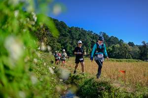 BIB: 
                            <button type="button" onclick="openModal(26580394)" class="btn btn-primary btn-sm float-right btn-popup" data-toggle="modal" data-target=".modal-high-quality">
                        <i class="fas fa-shopping-cart"></i> Add to Cart
                    </button>
                                            <button type="button" onclick="isThisMe(26580394, true)" class="btn btn-success btn-sm float-right btn-popup btn-isme hidden" data-toggle="tooltip" data-placement="bottom" title="นี่คือรูปของคุณใช่ไหม คลิกที่นี่เพื่อเอาเข้าอัลบั้ม">
                        <i class="fas fa-plus"></i> Add to album
                    </button>
                    <button type="button" onclick="isThisMe(26580394, false)" class="btn btn-warning btn-sm float-right btn-popup btn-isnotme hidden">
                        <i class="fas fa-ban"></i> Remove from album
                    </button>