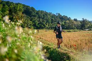 BIB: 
                            <button type="button" onclick="openModal(26570974)" class="btn btn-primary btn-sm float-right btn-popup" data-toggle="modal" data-target=".modal-high-quality">
                        <i class="fas fa-shopping-cart"></i> Add to Cart
                    </button>
                                            <button type="button" onclick="isThisMe(26570974, true)" class="btn btn-success btn-sm float-right btn-popup btn-isme hidden" data-toggle="tooltip" data-placement="bottom" title="นี่คือรูปของคุณใช่ไหม คลิกที่นี่เพื่อเอาเข้าอัลบั้ม">
                        <i class="fas fa-plus"></i> Add to album
                    </button>
                    <button type="button" onclick="isThisMe(26570974, false)" class="btn btn-warning btn-sm float-right btn-popup btn-isnotme hidden">
                        <i class="fas fa-ban"></i> Remove from album
                    </button>