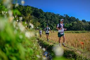 BIB: 
                            <button type="button" onclick="openModal(26573725)" class="btn btn-primary btn-sm float-right btn-popup" data-toggle="modal" data-target=".modal-high-quality">
                        <i class="fas fa-shopping-cart"></i> Add to Cart
                    </button>
                                            <button type="button" onclick="isThisMe(26573725, true)" class="btn btn-success btn-sm float-right btn-popup btn-isme hidden" data-toggle="tooltip" data-placement="bottom" title="นี่คือรูปของคุณใช่ไหม คลิกที่นี่เพื่อเอาเข้าอัลบั้ม">
                        <i class="fas fa-plus"></i> Add to album
                    </button>
                    <button type="button" onclick="isThisMe(26573725, false)" class="btn btn-warning btn-sm float-right btn-popup btn-isnotme hidden">
                        <i class="fas fa-ban"></i> Remove from album
                    </button>