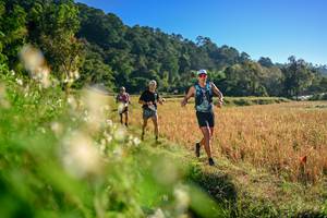 BIB: 
                            <button type="button" onclick="openModal(26570409)" class="btn btn-primary btn-sm float-right btn-popup" data-toggle="modal" data-target=".modal-high-quality">
                        <i class="fas fa-shopping-cart"></i> Add to Cart
                    </button>
                                            <button type="button" onclick="isThisMe(26570409, true)" class="btn btn-success btn-sm float-right btn-popup btn-isme hidden" data-toggle="tooltip" data-placement="bottom" title="นี่คือรูปของคุณใช่ไหม คลิกที่นี่เพื่อเอาเข้าอัลบั้ม">
                        <i class="fas fa-plus"></i> Add to album
                    </button>
                    <button type="button" onclick="isThisMe(26570409, false)" class="btn btn-warning btn-sm float-right btn-popup btn-isnotme hidden">
                        <i class="fas fa-ban"></i> Remove from album
                    </button>