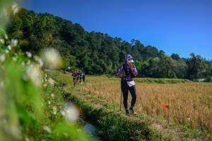 BIB: 
                            <button type="button" onclick="openModal(26579829)" class="btn btn-primary btn-sm float-right btn-popup" data-toggle="modal" data-target=".modal-high-quality">
                        <i class="fas fa-shopping-cart"></i> Add to Cart
                    </button>
                                            <button type="button" onclick="isThisMe(26579829, true)" class="btn btn-success btn-sm float-right btn-popup btn-isme hidden" data-toggle="tooltip" data-placement="bottom" title="นี่คือรูปของคุณใช่ไหม คลิกที่นี่เพื่อเอาเข้าอัลบั้ม">
                        <i class="fas fa-plus"></i> Add to album
                    </button>
                    <button type="button" onclick="isThisMe(26579829, false)" class="btn btn-warning btn-sm float-right btn-popup btn-isnotme hidden">
                        <i class="fas fa-ban"></i> Remove from album
                    </button>