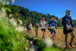 BIB: 
                            <button type="button" onclick="openModal(26575072)" class="btn btn-primary btn-sm float-right btn-popup" data-toggle="modal" data-target=".modal-high-quality">
                        <i class="fas fa-shopping-cart"></i> Add to Cart
                    </button>
                                            <button type="button" onclick="isThisMe(26575072, true)" class="btn btn-success btn-sm float-right btn-popup btn-isme hidden" data-toggle="tooltip" data-placement="bottom" title="นี่คือรูปของคุณใช่ไหม คลิกที่นี่เพื่อเอาเข้าอัลบั้ม">
                        <i class="fas fa-plus"></i> Add to album
                    </button>
                    <button type="button" onclick="isThisMe(26575072, false)" class="btn btn-warning btn-sm float-right btn-popup btn-isnotme hidden">
                        <i class="fas fa-ban"></i> Remove from album
                    </button>