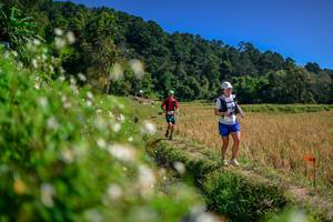 BIB: 
                            <button type="button" onclick="openModal(26582462)" class="btn btn-primary btn-sm float-right btn-popup" data-toggle="modal" data-target=".modal-high-quality">
                        <i class="fas fa-shopping-cart"></i> Add to Cart
                    </button>
                                            <button type="button" onclick="isThisMe(26582462, true)" class="btn btn-success btn-sm float-right btn-popup btn-isme hidden" data-toggle="tooltip" data-placement="bottom" title="นี่คือรูปของคุณใช่ไหม คลิกที่นี่เพื่อเอาเข้าอัลบั้ม">
                        <i class="fas fa-plus"></i> Add to album
                    </button>
                    <button type="button" onclick="isThisMe(26582462, false)" class="btn btn-warning btn-sm float-right btn-popup btn-isnotme hidden">
                        <i class="fas fa-ban"></i> Remove from album
                    </button>