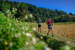 BIB: 
                            <button type="button" onclick="openModal(26581911)" class="btn btn-primary btn-sm float-right btn-popup" data-toggle="modal" data-target=".modal-high-quality">
                        <i class="fas fa-shopping-cart"></i> Add to Cart
                    </button>
                                            <button type="button" onclick="isThisMe(26581911, true)" class="btn btn-success btn-sm float-right btn-popup btn-isme hidden" data-toggle="tooltip" data-placement="bottom" title="นี่คือรูปของคุณใช่ไหม คลิกที่นี่เพื่อเอาเข้าอัลบั้ม">
                        <i class="fas fa-plus"></i> Add to album
                    </button>
                    <button type="button" onclick="isThisMe(26581911, false)" class="btn btn-warning btn-sm float-right btn-popup btn-isnotme hidden">
                        <i class="fas fa-ban"></i> Remove from album
                    </button>