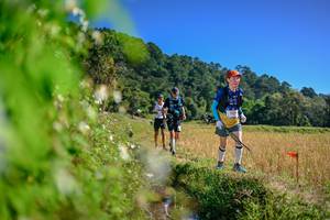 BIB: 
                            <button type="button" onclick="openModal(26581225)" class="btn btn-primary btn-sm float-right btn-popup" data-toggle="modal" data-target=".modal-high-quality">
                        <i class="fas fa-shopping-cart"></i> Add to Cart
                    </button>
                                            <button type="button" onclick="isThisMe(26581225, true)" class="btn btn-success btn-sm float-right btn-popup btn-isme hidden" data-toggle="tooltip" data-placement="bottom" title="นี่คือรูปของคุณใช่ไหม คลิกที่นี่เพื่อเอาเข้าอัลบั้ม">
                        <i class="fas fa-plus"></i> Add to album
                    </button>
                    <button type="button" onclick="isThisMe(26581225, false)" class="btn btn-warning btn-sm float-right btn-popup btn-isnotme hidden">
                        <i class="fas fa-ban"></i> Remove from album
                    </button>