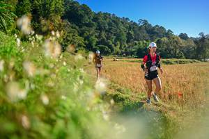 BIB: 
                            <button type="button" onclick="openModal(26570987)" class="btn btn-primary btn-sm float-right btn-popup" data-toggle="modal" data-target=".modal-high-quality">
                        <i class="fas fa-shopping-cart"></i> Add to Cart
                    </button>
                                            <button type="button" onclick="isThisMe(26570987, true)" class="btn btn-success btn-sm float-right btn-popup btn-isme hidden" data-toggle="tooltip" data-placement="bottom" title="นี่คือรูปของคุณใช่ไหม คลิกที่นี่เพื่อเอาเข้าอัลบั้ม">
                        <i class="fas fa-plus"></i> Add to album
                    </button>
                    <button type="button" onclick="isThisMe(26570987, false)" class="btn btn-warning btn-sm float-right btn-popup btn-isnotme hidden">
                        <i class="fas fa-ban"></i> Remove from album
                    </button>