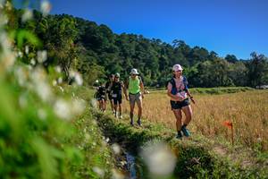 BIB: 
                            <button type="button" onclick="openModal(26574027)" class="btn btn-primary btn-sm float-right btn-popup" data-toggle="modal" data-target=".modal-high-quality">
                        <i class="fas fa-shopping-cart"></i> Add to Cart
                    </button>
                                            <button type="button" onclick="isThisMe(26574027, true)" class="btn btn-success btn-sm float-right btn-popup btn-isme hidden" data-toggle="tooltip" data-placement="bottom" title="นี่คือรูปของคุณใช่ไหม คลิกที่นี่เพื่อเอาเข้าอัลบั้ม">
                        <i class="fas fa-plus"></i> Add to album
                    </button>
                    <button type="button" onclick="isThisMe(26574027, false)" class="btn btn-warning btn-sm float-right btn-popup btn-isnotme hidden">
                        <i class="fas fa-ban"></i> Remove from album
                    </button>