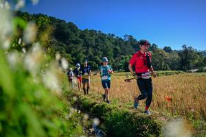 BIB: 
                            <button type="button" onclick="openModal(26572101)" class="btn btn-primary btn-sm float-right btn-popup" data-toggle="modal" data-target=".modal-high-quality">
                        <i class="fas fa-shopping-cart"></i> Add to Cart
                    </button>
                                            <button type="button" onclick="isThisMe(26572101, true)" class="btn btn-success btn-sm float-right btn-popup btn-isme hidden" data-toggle="tooltip" data-placement="bottom" title="นี่คือรูปของคุณใช่ไหม คลิกที่นี่เพื่อเอาเข้าอัลบั้ม">
                        <i class="fas fa-plus"></i> Add to album
                    </button>
                    <button type="button" onclick="isThisMe(26572101, false)" class="btn btn-warning btn-sm float-right btn-popup btn-isnotme hidden">
                        <i class="fas fa-ban"></i> Remove from album
                    </button>