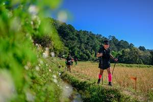 BIB: 
                            <button type="button" onclick="openModal(26581086)" class="btn btn-primary btn-sm float-right btn-popup" data-toggle="modal" data-target=".modal-high-quality">
                        <i class="fas fa-shopping-cart"></i> Add to Cart
                    </button>
                                            <button type="button" onclick="isThisMe(26581086, true)" class="btn btn-success btn-sm float-right btn-popup btn-isme hidden" data-toggle="tooltip" data-placement="bottom" title="นี่คือรูปของคุณใช่ไหม คลิกที่นี่เพื่อเอาเข้าอัลบั้ม">
                        <i class="fas fa-plus"></i> Add to album
                    </button>
                    <button type="button" onclick="isThisMe(26581086, false)" class="btn btn-warning btn-sm float-right btn-popup btn-isnotme hidden">
                        <i class="fas fa-ban"></i> Remove from album
                    </button>