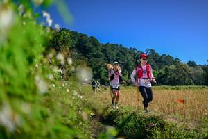 BIB: 
                            <button type="button" onclick="openModal(26580453)" class="btn btn-primary btn-sm float-right btn-popup" data-toggle="modal" data-target=".modal-high-quality">
                        <i class="fas fa-shopping-cart"></i> Add to Cart
                    </button>
                                            <button type="button" onclick="isThisMe(26580453, true)" class="btn btn-success btn-sm float-right btn-popup btn-isme hidden" data-toggle="tooltip" data-placement="bottom" title="นี่คือรูปของคุณใช่ไหม คลิกที่นี่เพื่อเอาเข้าอัลบั้ม">
                        <i class="fas fa-plus"></i> Add to album
                    </button>
                    <button type="button" onclick="isThisMe(26580453, false)" class="btn btn-warning btn-sm float-right btn-popup btn-isnotme hidden">
                        <i class="fas fa-ban"></i> Remove from album
                    </button>