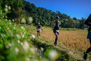 BIB: 
                            <button type="button" onclick="openModal(26576350)" class="btn btn-primary btn-sm float-right btn-popup" data-toggle="modal" data-target=".modal-high-quality">
                        <i class="fas fa-shopping-cart"></i> Add to Cart
                    </button>
                                            <button type="button" onclick="isThisMe(26576350, true)" class="btn btn-success btn-sm float-right btn-popup btn-isme hidden" data-toggle="tooltip" data-placement="bottom" title="นี่คือรูปของคุณใช่ไหม คลิกที่นี่เพื่อเอาเข้าอัลบั้ม">
                        <i class="fas fa-plus"></i> Add to album
                    </button>
                    <button type="button" onclick="isThisMe(26576350, false)" class="btn btn-warning btn-sm float-right btn-popup btn-isnotme hidden">
                        <i class="fas fa-ban"></i> Remove from album
                    </button>