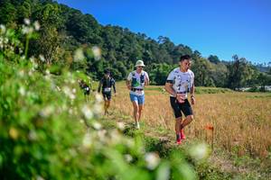 BIB: 
                            <button type="button" onclick="openModal(26581306)" class="btn btn-primary btn-sm float-right btn-popup" data-toggle="modal" data-target=".modal-high-quality">
                        <i class="fas fa-shopping-cart"></i> Add to Cart
                    </button>
                                            <button type="button" onclick="isThisMe(26581306, true)" class="btn btn-success btn-sm float-right btn-popup btn-isme hidden" data-toggle="tooltip" data-placement="bottom" title="นี่คือรูปของคุณใช่ไหม คลิกที่นี่เพื่อเอาเข้าอัลบั้ม">
                        <i class="fas fa-plus"></i> Add to album
                    </button>
                    <button type="button" onclick="isThisMe(26581306, false)" class="btn btn-warning btn-sm float-right btn-popup btn-isnotme hidden">
                        <i class="fas fa-ban"></i> Remove from album
                    </button>