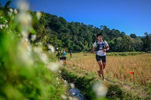 BIB: 
                            <button type="button" onclick="openModal(26575139)" class="btn btn-primary btn-sm float-right btn-popup" data-toggle="modal" data-target=".modal-high-quality">
                        <i class="fas fa-shopping-cart"></i> Add to Cart
                    </button>
                                            <button type="button" onclick="isThisMe(26575139, true)" class="btn btn-success btn-sm float-right btn-popup btn-isme hidden" data-toggle="tooltip" data-placement="bottom" title="นี่คือรูปของคุณใช่ไหม คลิกที่นี่เพื่อเอาเข้าอัลบั้ม">
                        <i class="fas fa-plus"></i> Add to album
                    </button>
                    <button type="button" onclick="isThisMe(26575139, false)" class="btn btn-warning btn-sm float-right btn-popup btn-isnotme hidden">
                        <i class="fas fa-ban"></i> Remove from album
                    </button>