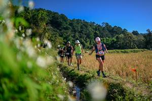 BIB: 
                            <button type="button" onclick="openModal(26574022)" class="btn btn-primary btn-sm float-right btn-popup" data-toggle="modal" data-target=".modal-high-quality">
                        <i class="fas fa-shopping-cart"></i> Add to Cart
                    </button>
                                            <button type="button" onclick="isThisMe(26574022, true)" class="btn btn-success btn-sm float-right btn-popup btn-isme hidden" data-toggle="tooltip" data-placement="bottom" title="นี่คือรูปของคุณใช่ไหม คลิกที่นี่เพื่อเอาเข้าอัลบั้ม">
                        <i class="fas fa-plus"></i> Add to album
                    </button>
                    <button type="button" onclick="isThisMe(26574022, false)" class="btn btn-warning btn-sm float-right btn-popup btn-isnotme hidden">
                        <i class="fas fa-ban"></i> Remove from album
                    </button>