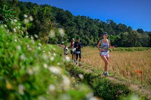 BIB: 
                            <button type="button" onclick="openModal(26582159)" class="btn btn-primary btn-sm float-right btn-popup" data-toggle="modal" data-target=".modal-high-quality">
                        <i class="fas fa-shopping-cart"></i> Add to Cart
                    </button>
                                            <button type="button" onclick="isThisMe(26582159, true)" class="btn btn-success btn-sm float-right btn-popup btn-isme hidden" data-toggle="tooltip" data-placement="bottom" title="นี่คือรูปของคุณใช่ไหม คลิกที่นี่เพื่อเอาเข้าอัลบั้ม">
                        <i class="fas fa-plus"></i> Add to album
                    </button>
                    <button type="button" onclick="isThisMe(26582159, false)" class="btn btn-warning btn-sm float-right btn-popup btn-isnotme hidden">
                        <i class="fas fa-ban"></i> Remove from album
                    </button>