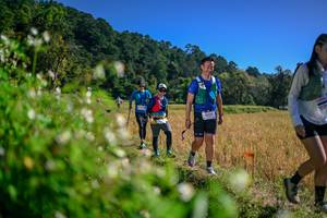 BIB: 
                            <button type="button" onclick="openModal(26581395)" class="btn btn-primary btn-sm float-right btn-popup" data-toggle="modal" data-target=".modal-high-quality">
                        <i class="fas fa-shopping-cart"></i> Add to Cart
                    </button>
                                            <button type="button" onclick="isThisMe(26581395, true)" class="btn btn-success btn-sm float-right btn-popup btn-isme hidden" data-toggle="tooltip" data-placement="bottom" title="นี่คือรูปของคุณใช่ไหม คลิกที่นี่เพื่อเอาเข้าอัลบั้ม">
                        <i class="fas fa-plus"></i> Add to album
                    </button>
                    <button type="button" onclick="isThisMe(26581395, false)" class="btn btn-warning btn-sm float-right btn-popup btn-isnotme hidden">
                        <i class="fas fa-ban"></i> Remove from album
                    </button>