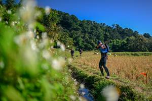 BIB: 
                            <button type="button" onclick="openModal(26573501)" class="btn btn-primary btn-sm float-right btn-popup" data-toggle="modal" data-target=".modal-high-quality">
                        <i class="fas fa-shopping-cart"></i> Add to Cart
                    </button>
                                            <button type="button" onclick="isThisMe(26573501, true)" class="btn btn-success btn-sm float-right btn-popup btn-isme hidden" data-toggle="tooltip" data-placement="bottom" title="นี่คือรูปของคุณใช่ไหม คลิกที่นี่เพื่อเอาเข้าอัลบั้ม">
                        <i class="fas fa-plus"></i> Add to album
                    </button>
                    <button type="button" onclick="isThisMe(26573501, false)" class="btn btn-warning btn-sm float-right btn-popup btn-isnotme hidden">
                        <i class="fas fa-ban"></i> Remove from album
                    </button>