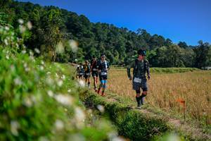 BIB: 
                            <button type="button" onclick="openModal(26582035)" class="btn btn-primary btn-sm float-right btn-popup" data-toggle="modal" data-target=".modal-high-quality">
                        <i class="fas fa-shopping-cart"></i> Add to Cart
                    </button>
                                            <button type="button" onclick="isThisMe(26582035, true)" class="btn btn-success btn-sm float-right btn-popup btn-isme hidden" data-toggle="tooltip" data-placement="bottom" title="นี่คือรูปของคุณใช่ไหม คลิกที่นี่เพื่อเอาเข้าอัลบั้ม">
                        <i class="fas fa-plus"></i> Add to album
                    </button>
                    <button type="button" onclick="isThisMe(26582035, false)" class="btn btn-warning btn-sm float-right btn-popup btn-isnotme hidden">
                        <i class="fas fa-ban"></i> Remove from album
                    </button>