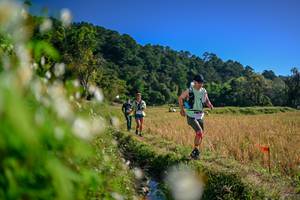 BIB: 
                            <button type="button" onclick="openModal(26573850)" class="btn btn-primary btn-sm float-right btn-popup" data-toggle="modal" data-target=".modal-high-quality">
                        <i class="fas fa-shopping-cart"></i> Add to Cart
                    </button>
                                            <button type="button" onclick="isThisMe(26573850, true)" class="btn btn-success btn-sm float-right btn-popup btn-isme hidden" data-toggle="tooltip" data-placement="bottom" title="นี่คือรูปของคุณใช่ไหม คลิกที่นี่เพื่อเอาเข้าอัลบั้ม">
                        <i class="fas fa-plus"></i> Add to album
                    </button>
                    <button type="button" onclick="isThisMe(26573850, false)" class="btn btn-warning btn-sm float-right btn-popup btn-isnotme hidden">
                        <i class="fas fa-ban"></i> Remove from album
                    </button>