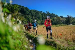 BIB: 
                            <button type="button" onclick="openModal(26573024)" class="btn btn-primary btn-sm float-right btn-popup" data-toggle="modal" data-target=".modal-high-quality">
                        <i class="fas fa-shopping-cart"></i> Add to Cart
                    </button>
                                            <button type="button" onclick="isThisMe(26573024, true)" class="btn btn-success btn-sm float-right btn-popup btn-isme hidden" data-toggle="tooltip" data-placement="bottom" title="นี่คือรูปของคุณใช่ไหม คลิกที่นี่เพื่อเอาเข้าอัลบั้ม">
                        <i class="fas fa-plus"></i> Add to album
                    </button>
                    <button type="button" onclick="isThisMe(26573024, false)" class="btn btn-warning btn-sm float-right btn-popup btn-isnotme hidden">
                        <i class="fas fa-ban"></i> Remove from album
                    </button>