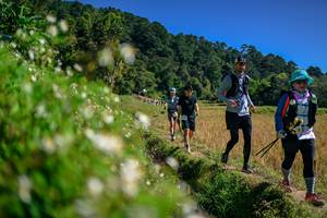 BIB: 
                            <button type="button" onclick="openModal(26583194)" class="btn btn-primary btn-sm float-right btn-popup" data-toggle="modal" data-target=".modal-high-quality">
                        <i class="fas fa-shopping-cart"></i> Add to Cart
                    </button>
                                            <button type="button" onclick="isThisMe(26583194, true)" class="btn btn-success btn-sm float-right btn-popup btn-isme hidden" data-toggle="tooltip" data-placement="bottom" title="นี่คือรูปของคุณใช่ไหม คลิกที่นี่เพื่อเอาเข้าอัลบั้ม">
                        <i class="fas fa-plus"></i> Add to album
                    </button>
                    <button type="button" onclick="isThisMe(26583194, false)" class="btn btn-warning btn-sm float-right btn-popup btn-isnotme hidden">
                        <i class="fas fa-ban"></i> Remove from album
                    </button>