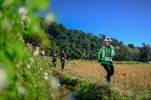 BIB: 
                            <button type="button" onclick="openModal(26581114)" class="btn btn-primary btn-sm float-right btn-popup" data-toggle="modal" data-target=".modal-high-quality">
                        <i class="fas fa-shopping-cart"></i> Add to Cart
                    </button>
                                            <button type="button" onclick="isThisMe(26581114, true)" class="btn btn-success btn-sm float-right btn-popup btn-isme hidden" data-toggle="tooltip" data-placement="bottom" title="นี่คือรูปของคุณใช่ไหม คลิกที่นี่เพื่อเอาเข้าอัลบั้ม">
                        <i class="fas fa-plus"></i> Add to album
                    </button>
                    <button type="button" onclick="isThisMe(26581114, false)" class="btn btn-warning btn-sm float-right btn-popup btn-isnotme hidden">
                        <i class="fas fa-ban"></i> Remove from album
                    </button>