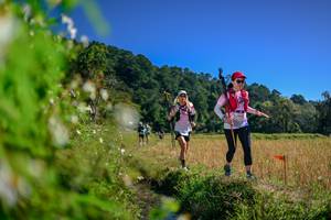 BIB: 
                            <button type="button" onclick="openModal(26580461)" class="btn btn-primary btn-sm float-right btn-popup" data-toggle="modal" data-target=".modal-high-quality">
                        <i class="fas fa-shopping-cart"></i> Add to Cart
                    </button>
                                            <button type="button" onclick="isThisMe(26580461, true)" class="btn btn-success btn-sm float-right btn-popup btn-isme hidden" data-toggle="tooltip" data-placement="bottom" title="นี่คือรูปของคุณใช่ไหม คลิกที่นี่เพื่อเอาเข้าอัลบั้ม">
                        <i class="fas fa-plus"></i> Add to album
                    </button>
                    <button type="button" onclick="isThisMe(26580461, false)" class="btn btn-warning btn-sm float-right btn-popup btn-isnotme hidden">
                        <i class="fas fa-ban"></i> Remove from album
                    </button>