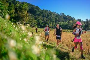 BIB: 
                            <button type="button" onclick="openModal(26570655)" class="btn btn-primary btn-sm float-right btn-popup" data-toggle="modal" data-target=".modal-high-quality">
                        <i class="fas fa-shopping-cart"></i> Add to Cart
                    </button>
                                            <button type="button" onclick="isThisMe(26570655, true)" class="btn btn-success btn-sm float-right btn-popup btn-isme hidden" data-toggle="tooltip" data-placement="bottom" title="นี่คือรูปของคุณใช่ไหม คลิกที่นี่เพื่อเอาเข้าอัลบั้ม">
                        <i class="fas fa-plus"></i> Add to album
                    </button>
                    <button type="button" onclick="isThisMe(26570655, false)" class="btn btn-warning btn-sm float-right btn-popup btn-isnotme hidden">
                        <i class="fas fa-ban"></i> Remove from album
                    </button>