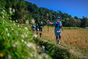 BIB: 
                            <button type="button" onclick="openModal(26581661)" class="btn btn-primary btn-sm float-right btn-popup" data-toggle="modal" data-target=".modal-high-quality">
                        <i class="fas fa-shopping-cart"></i> Add to Cart
                    </button>
                                            <button type="button" onclick="isThisMe(26581661, true)" class="btn btn-success btn-sm float-right btn-popup btn-isme hidden" data-toggle="tooltip" data-placement="bottom" title="นี่คือรูปของคุณใช่ไหม คลิกที่นี่เพื่อเอาเข้าอัลบั้ม">
                        <i class="fas fa-plus"></i> Add to album
                    </button>
                    <button type="button" onclick="isThisMe(26581661, false)" class="btn btn-warning btn-sm float-right btn-popup btn-isnotme hidden">
                        <i class="fas fa-ban"></i> Remove from album
                    </button>