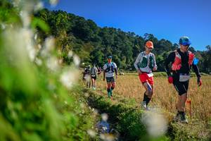 BIB: 
                            <button type="button" onclick="openModal(26572512)" class="btn btn-primary btn-sm float-right btn-popup" data-toggle="modal" data-target=".modal-high-quality">
                        <i class="fas fa-shopping-cart"></i> Add to Cart
                    </button>
                                            <button type="button" onclick="isThisMe(26572512, true)" class="btn btn-success btn-sm float-right btn-popup btn-isme hidden" data-toggle="tooltip" data-placement="bottom" title="นี่คือรูปของคุณใช่ไหม คลิกที่นี่เพื่อเอาเข้าอัลบั้ม">
                        <i class="fas fa-plus"></i> Add to album
                    </button>
                    <button type="button" onclick="isThisMe(26572512, false)" class="btn btn-warning btn-sm float-right btn-popup btn-isnotme hidden">
                        <i class="fas fa-ban"></i> Remove from album
                    </button>