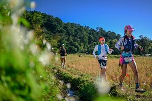 BIB: 
                            <button type="button" onclick="openModal(26572597)" class="btn btn-primary btn-sm float-right btn-popup" data-toggle="modal" data-target=".modal-high-quality">
                        <i class="fas fa-shopping-cart"></i> Add to Cart
                    </button>
                                            <button type="button" onclick="isThisMe(26572597, true)" class="btn btn-success btn-sm float-right btn-popup btn-isme hidden" data-toggle="tooltip" data-placement="bottom" title="นี่คือรูปของคุณใช่ไหม คลิกที่นี่เพื่อเอาเข้าอัลบั้ม">
                        <i class="fas fa-plus"></i> Add to album
                    </button>
                    <button type="button" onclick="isThisMe(26572597, false)" class="btn btn-warning btn-sm float-right btn-popup btn-isnotme hidden">
                        <i class="fas fa-ban"></i> Remove from album
                    </button>