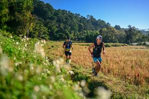 BIB: 
                            <button type="button" onclick="openModal(26570369)" class="btn btn-primary btn-sm float-right btn-popup" data-toggle="modal" data-target=".modal-high-quality">
                        <i class="fas fa-shopping-cart"></i> Add to Cart
                    </button>
                                            <button type="button" onclick="isThisMe(26570369, true)" class="btn btn-success btn-sm float-right btn-popup btn-isme hidden" data-toggle="tooltip" data-placement="bottom" title="นี่คือรูปของคุณใช่ไหม คลิกที่นี่เพื่อเอาเข้าอัลบั้ม">
                        <i class="fas fa-plus"></i> Add to album
                    </button>
                    <button type="button" onclick="isThisMe(26570369, false)" class="btn btn-warning btn-sm float-right btn-popup btn-isnotme hidden">
                        <i class="fas fa-ban"></i> Remove from album
                    </button>