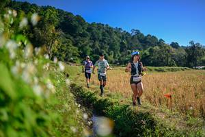 BIB: 
                            <button type="button" onclick="openModal(26571576)" class="btn btn-primary btn-sm float-right btn-popup" data-toggle="modal" data-target=".modal-high-quality">
                        <i class="fas fa-shopping-cart"></i> Add to Cart
                    </button>
                                            <button type="button" onclick="isThisMe(26571576, true)" class="btn btn-success btn-sm float-right btn-popup btn-isme hidden" data-toggle="tooltip" data-placement="bottom" title="นี่คือรูปของคุณใช่ไหม คลิกที่นี่เพื่อเอาเข้าอัลบั้ม">
                        <i class="fas fa-plus"></i> Add to album
                    </button>
                    <button type="button" onclick="isThisMe(26571576, false)" class="btn btn-warning btn-sm float-right btn-popup btn-isnotme hidden">
                        <i class="fas fa-ban"></i> Remove from album
                    </button>