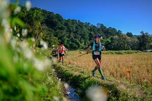 BIB: 
                            <button type="button" onclick="openModal(26573929)" class="btn btn-primary btn-sm float-right btn-popup" data-toggle="modal" data-target=".modal-high-quality">
                        <i class="fas fa-shopping-cart"></i> Add to Cart
                    </button>
                                            <button type="button" onclick="isThisMe(26573929, true)" class="btn btn-success btn-sm float-right btn-popup btn-isme hidden" data-toggle="tooltip" data-placement="bottom" title="นี่คือรูปของคุณใช่ไหม คลิกที่นี่เพื่อเอาเข้าอัลบั้ม">
                        <i class="fas fa-plus"></i> Add to album
                    </button>
                    <button type="button" onclick="isThisMe(26573929, false)" class="btn btn-warning btn-sm float-right btn-popup btn-isnotme hidden">
                        <i class="fas fa-ban"></i> Remove from album
                    </button>