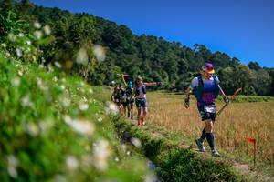 BIB: 
                            <button type="button" onclick="openModal(26582965)" class="btn btn-primary btn-sm float-right btn-popup" data-toggle="modal" data-target=".modal-high-quality">
                        <i class="fas fa-shopping-cart"></i> Add to Cart
                    </button>
                                            <button type="button" onclick="isThisMe(26582965, true)" class="btn btn-success btn-sm float-right btn-popup btn-isme hidden" data-toggle="tooltip" data-placement="bottom" title="นี่คือรูปของคุณใช่ไหม คลิกที่นี่เพื่อเอาเข้าอัลบั้ม">
                        <i class="fas fa-plus"></i> Add to album
                    </button>
                    <button type="button" onclick="isThisMe(26582965, false)" class="btn btn-warning btn-sm float-right btn-popup btn-isnotme hidden">
                        <i class="fas fa-ban"></i> Remove from album
                    </button>