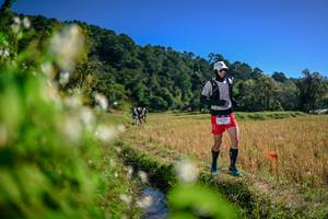 BIB: 
                            <button type="button" onclick="openModal(26575629)" class="btn btn-primary btn-sm float-right btn-popup" data-toggle="modal" data-target=".modal-high-quality">
                        <i class="fas fa-shopping-cart"></i> Add to Cart
                    </button>
                                            <button type="button" onclick="isThisMe(26575629, true)" class="btn btn-success btn-sm float-right btn-popup btn-isme hidden" data-toggle="tooltip" data-placement="bottom" title="นี่คือรูปของคุณใช่ไหม คลิกที่นี่เพื่อเอาเข้าอัลบั้ม">
                        <i class="fas fa-plus"></i> Add to album
                    </button>
                    <button type="button" onclick="isThisMe(26575629, false)" class="btn btn-warning btn-sm float-right btn-popup btn-isnotme hidden">
                        <i class="fas fa-ban"></i> Remove from album
                    </button>