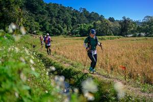 BIB: 
                            <button type="button" onclick="openModal(26576516)" class="btn btn-primary btn-sm float-right btn-popup" data-toggle="modal" data-target=".modal-high-quality">
                        <i class="fas fa-shopping-cart"></i> Add to Cart
                    </button>
                                            <button type="button" onclick="isThisMe(26576516, true)" class="btn btn-success btn-sm float-right btn-popup btn-isme hidden" data-toggle="tooltip" data-placement="bottom" title="นี่คือรูปของคุณใช่ไหม คลิกที่นี่เพื่อเอาเข้าอัลบั้ม">
                        <i class="fas fa-plus"></i> Add to album
                    </button>
                    <button type="button" onclick="isThisMe(26576516, false)" class="btn btn-warning btn-sm float-right btn-popup btn-isnotme hidden">
                        <i class="fas fa-ban"></i> Remove from album
                    </button>